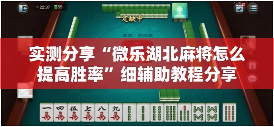实测分享“微乐湖北麻将怎么提高胜率”细辅助教程分享