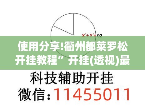 使用分享!衢州都莱罗松开挂教程	”开挂(透视)最新辅助详细
