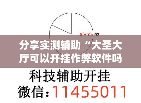 分享实测辅助“大圣大厅可以开挂作弊软件吗(透视)”开挂辅助脚本+详细开挂安装教程