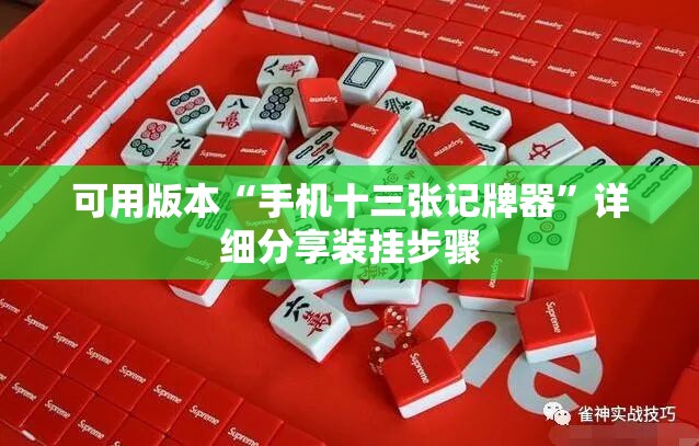 可用版本“手机十三张记牌器	”详细分享装挂步骤