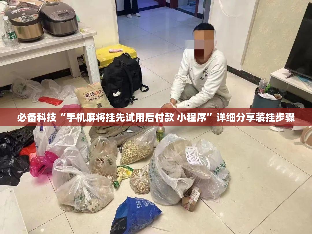 必备科技“手机麻将挂先试用后付款 小程序”详细分享装挂步骤