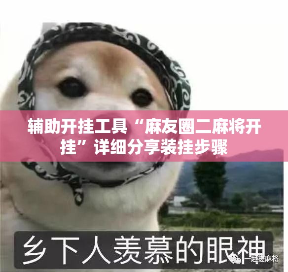 辅助开挂工具“麻友圈二麻将开挂”详细分享装挂步骤