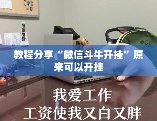 教程分享“微信斗牛开挂”原来可以开挂