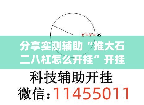 分享实测辅助“推大石二八杠怎么开挂”开挂(透视)最新辅助详细