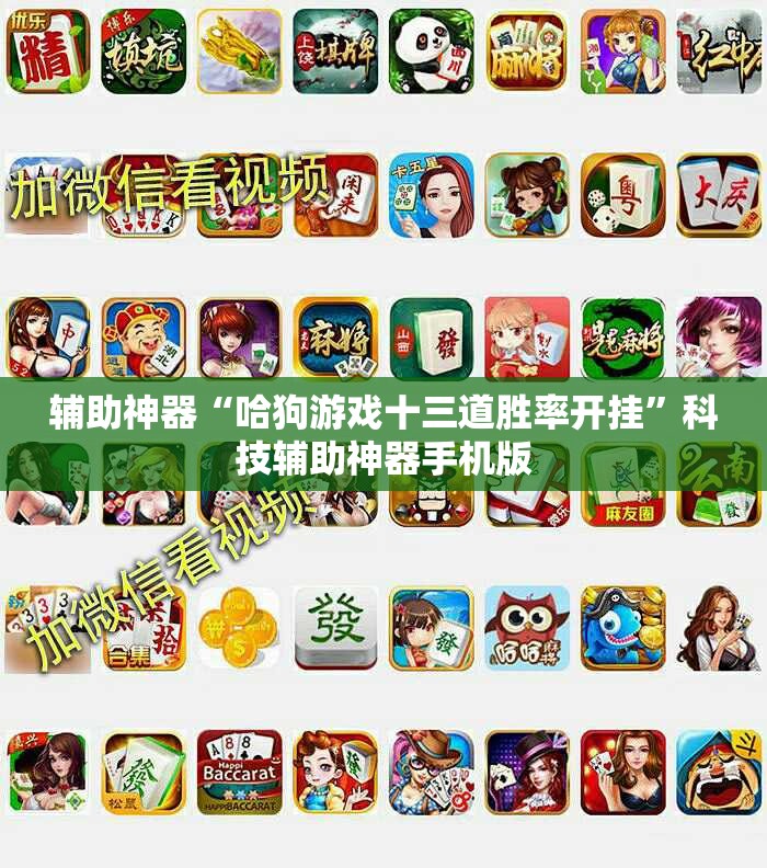 辅助神器“哈狗游戏十三道胜率开挂”科技辅助神器手机版