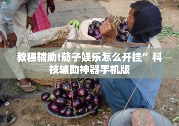 教程辅助!茄子娱乐怎么开挂”科技辅助神器手机版