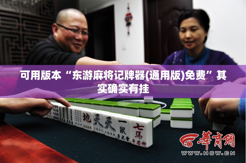 可用版本“东游麻将记牌器(通用版)免费”其实确实有挂