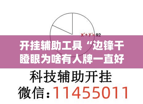 开挂辅助工具“边锋干瞪眼为啥有人牌一直好(透视)	”开挂辅助脚本+详细开挂安装教程