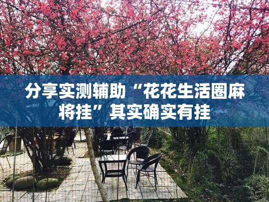 分享实测辅助“花花生活圈麻将挂”其实确实有挂