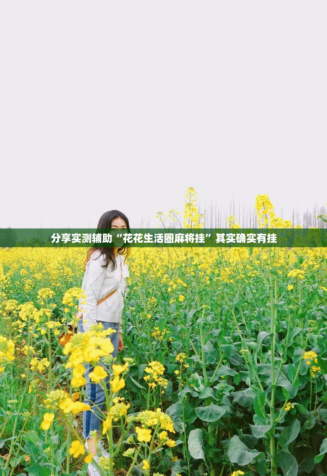 分享实测辅助“花花生活圈麻将挂	”其实确实有挂