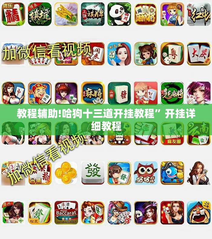 教程辅助!哈狗十三道开挂教程”开挂详细教程