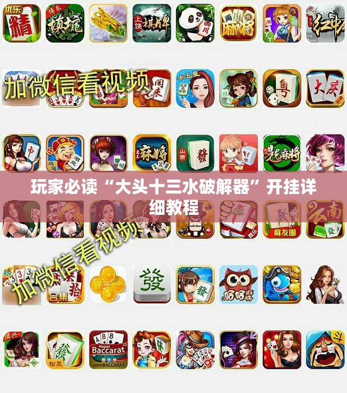 玩家必读“大头十三水破解器”开挂详细教程