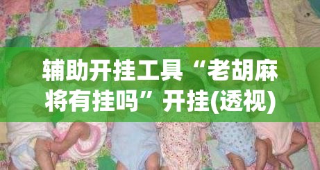 辅助开挂工具“老胡麻将有挂吗”开挂(透视)辅助教程