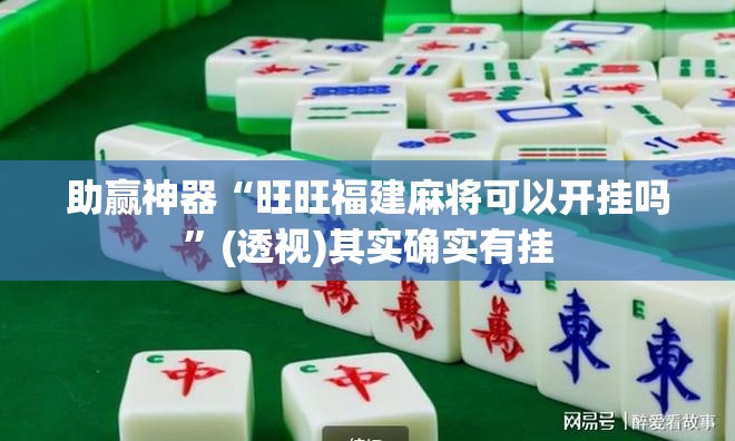 助赢神器“旺旺福建麻将可以开挂吗”(透视)其实确实有挂