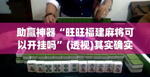 助赢神器“旺旺福建麻将可以开挂吗	”(透视)其实确实有挂