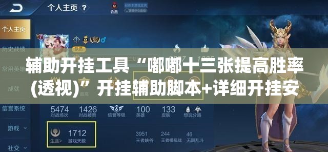 辅助开挂工具“嘟嘟十三张提高胜率(透视)”开挂辅助脚本+详细开挂安装教程