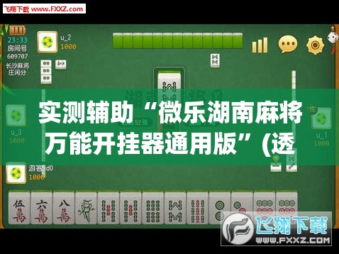 实测辅助“微乐湖南麻将万能开挂器通用版”(透视挂)辅助下载教程