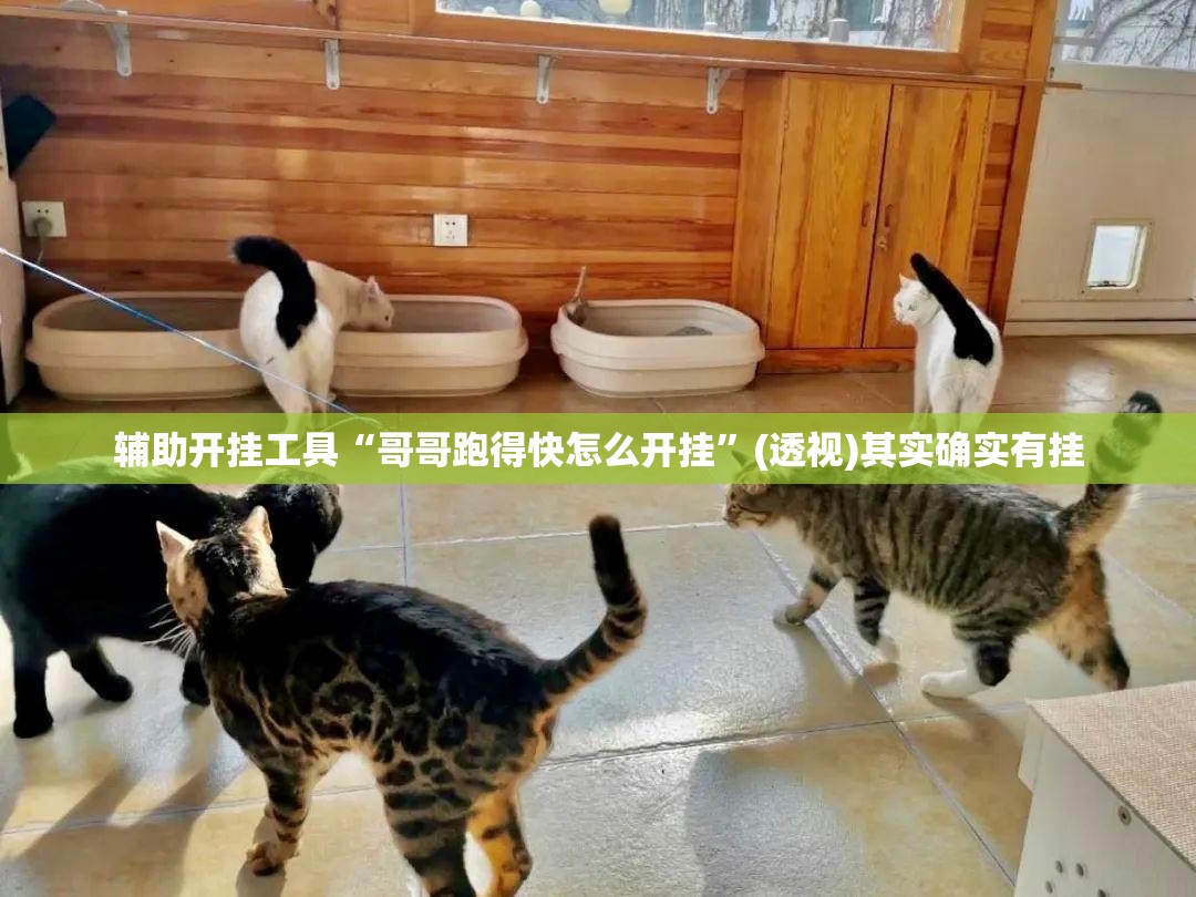 辅助开挂工具“哥哥跑得快怎么开挂	”(透视)其实确实有挂