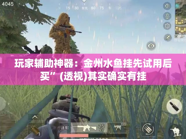 玩家辅助神器：金州水鱼挂先试用后买”(透视)其实确实有挂