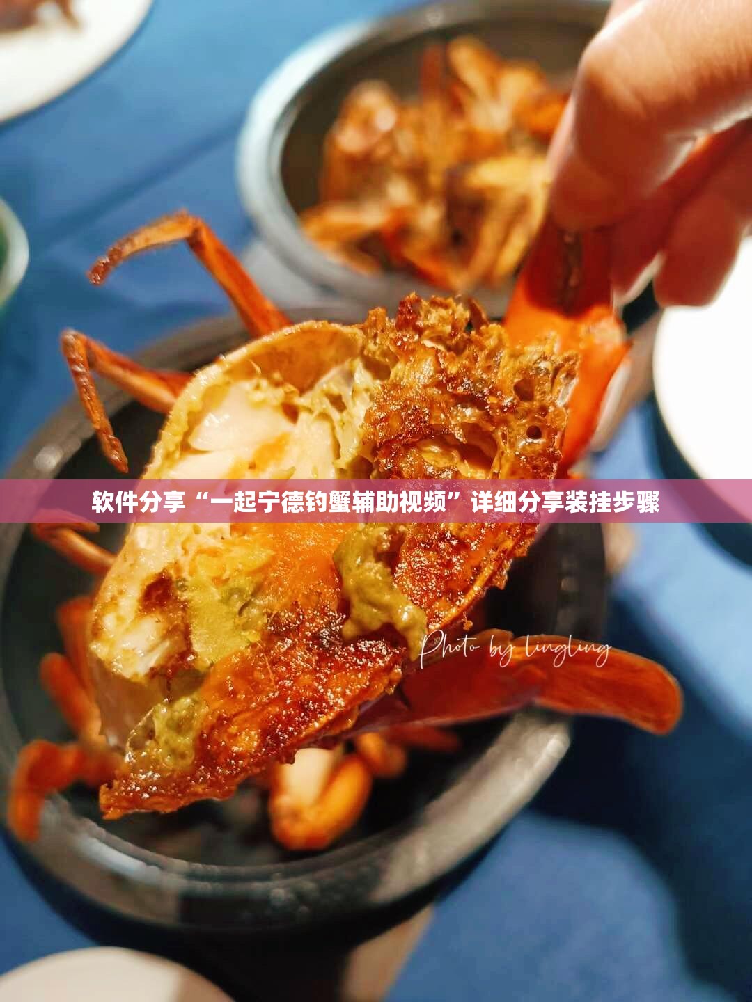 软件分享“一起宁德钓蟹辅助视频”详细分享装挂步骤