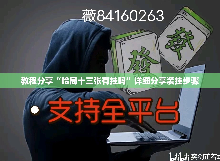教程分享“哈局十三张有挂吗”详细分享装挂步骤