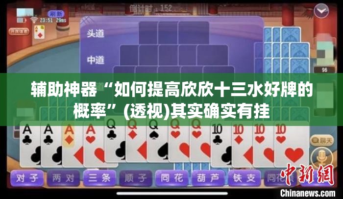 辅助神器“如何提高欣欣十三水好牌的概率”(透视)其实确实有挂