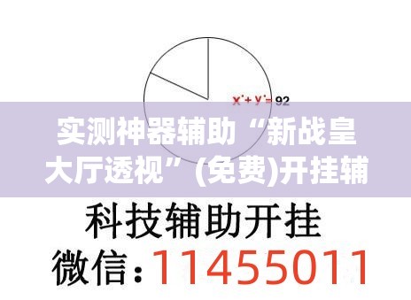 实测神器辅助“新战皇大厅透视	”(免费)开挂辅助教学(最新辅助开挂教程)