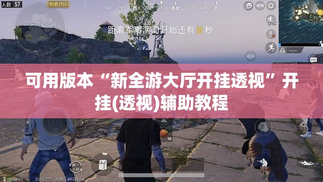可用版本“新全游大厅开挂透视”开挂(透视)辅助教程