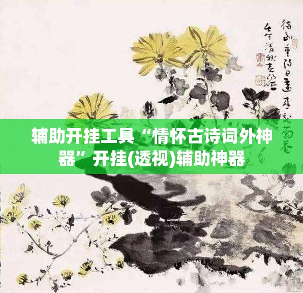 辅助开挂工具“情怀古诗词外神器”开挂(透视)辅助神器
