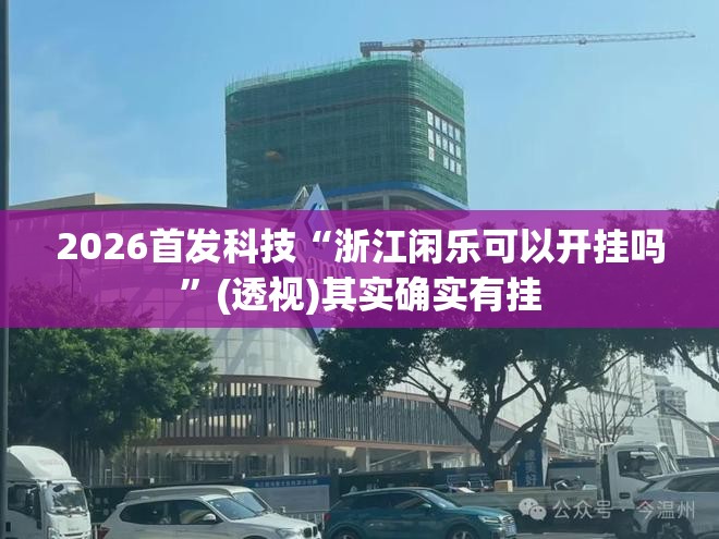 2026首发科技“浙江闲乐可以开挂吗”(透视)其实确实有挂