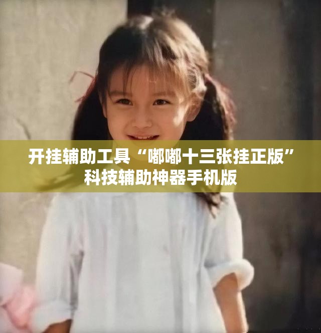 开挂辅助工具“嘟嘟十三张挂正版”科技辅助神器手机版