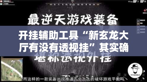 开挂辅助工具“新玄龙大厅有没有透视挂	”其实确实有挂