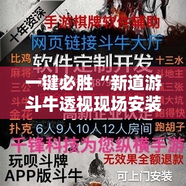 一键必胜“新道游斗牛透视现场安装”详细分享装挂步骤