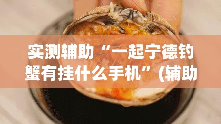 实测辅助“一起宁德钓蟹有挂什么手机	”(辅助神器)开挂详细教程