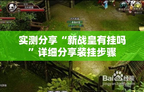 实测分享“新战皇有挂吗”详细分享装挂步骤