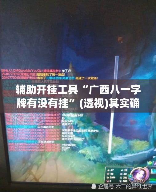 辅助开挂工具“广西八一字牌有没有挂”(透视)其实确实有挂