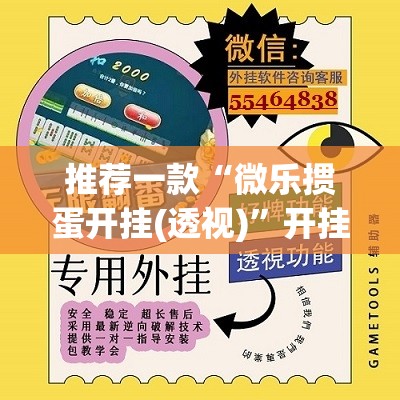 推荐一款“微乐掼蛋开挂(透视)”开挂辅助脚本+详细开挂安装教程