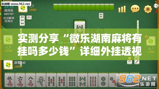 实测分享“微乐湖南麻将有挂吗多少钱”详细外挂透视辅助软件教程