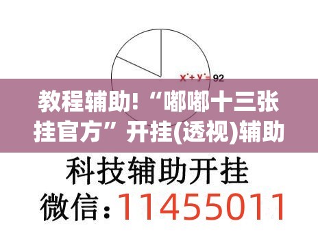 教程辅助!“嘟嘟十三张挂官方	”开挂(透视)辅助教程