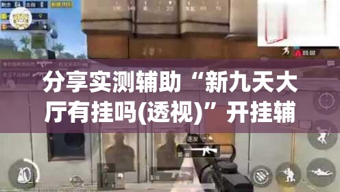 分享实测辅助“新九天大厅有挂吗(透视)”开挂辅助脚本+详细开挂安装教程