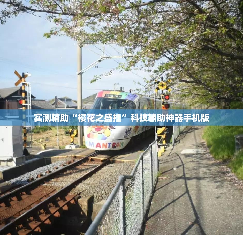 实测辅助“樱花之盛挂”科技辅助神器手机版