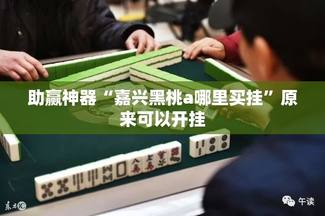 助赢神器“嘉兴黑桃a哪里买挂	”原来可以开挂