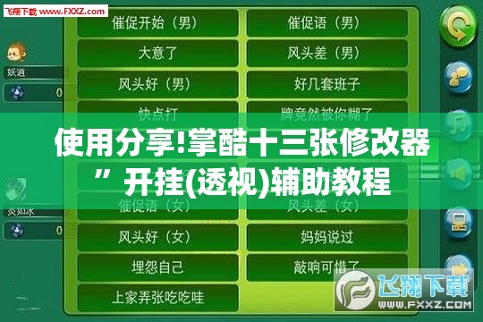 使用分享!掌酷十三张修改器	”开挂(透视)辅助教程
