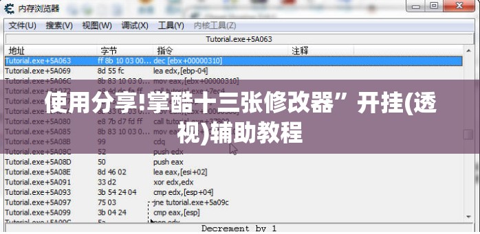 使用分享!掌酷十三张修改器	”开挂(透视)辅助教程