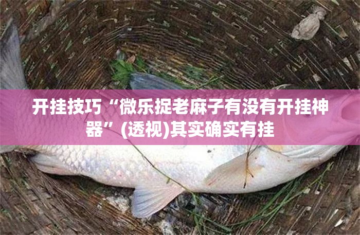开挂技巧“微乐捉老麻子有没有开挂神器”(透视)其实确实有挂