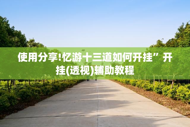 使用分享!忆游十三道如何开挂	”开挂(透视)辅助教程