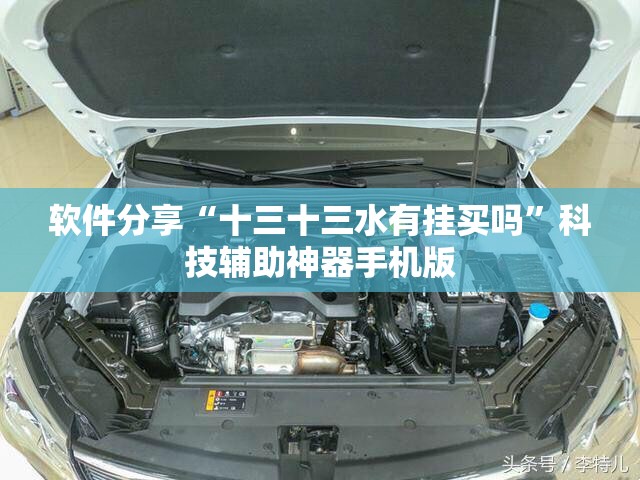 软件分享“十三十三水有挂买吗”科技辅助神器手机版