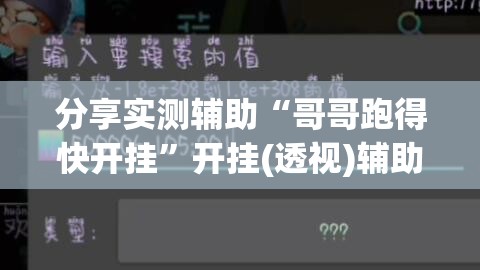 分享实测辅助“哥哥跑得快开挂”开挂(透视)辅助神器