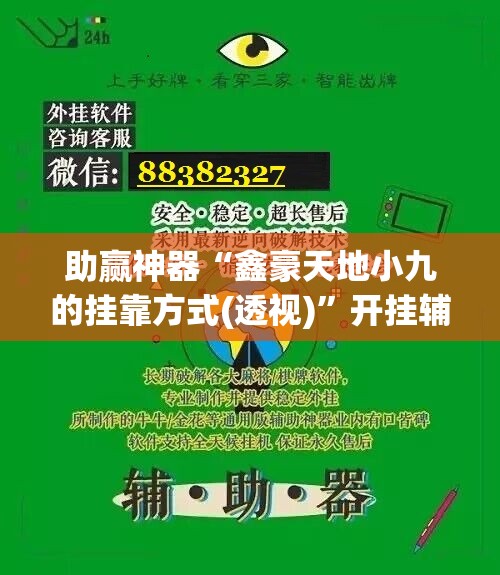 助赢神器“鑫豪天地小九的挂靠方式(透视)	”开挂辅助脚本+详细开挂安装教程