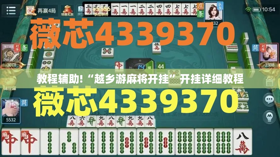 教程辅助!“越乡游麻将开挂”开挂详细教程